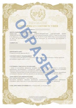 Образец Сертификат СТО 01.064.00220722.2-2020 Салехард Сертификат СТО 01.064.00220722.2-2020 