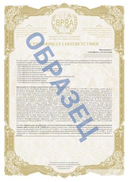 Образец Приложение к СТО 01.064.00220722.2-2020 Салехард Сертификат СТО 01.064.00220722.2-2020 
